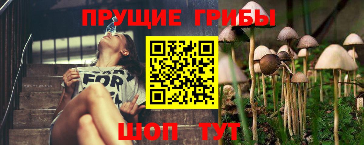 Псилоцибиновые грибы Cubensis  Вход с VPN  Соликамск 